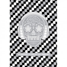 BIGBANG/2011 LIVE CONCERT<BIGSHOW>(2DVD)