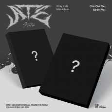 Stray Kids - 9th Mini Album [ATE] (Random Ver.)