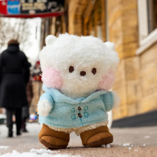 BT21 - RJ minini DOLL BOOTS EDITION