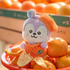BT21 - MANG BABY PLUSH ORANGE PARTY