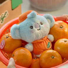 BT21 - KOYA BABY PLUSH ORANGE PARTY