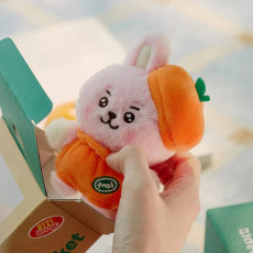 BT21 - COOKY BABY PLUSH ORANGE PARTY