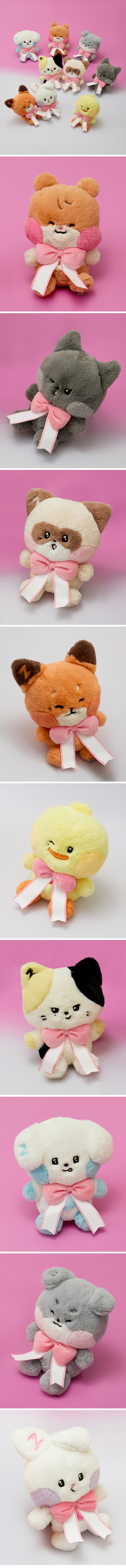 ZEROBASEONE - zeroni MEDIUM PLUSH HOME PARTY (taenini)