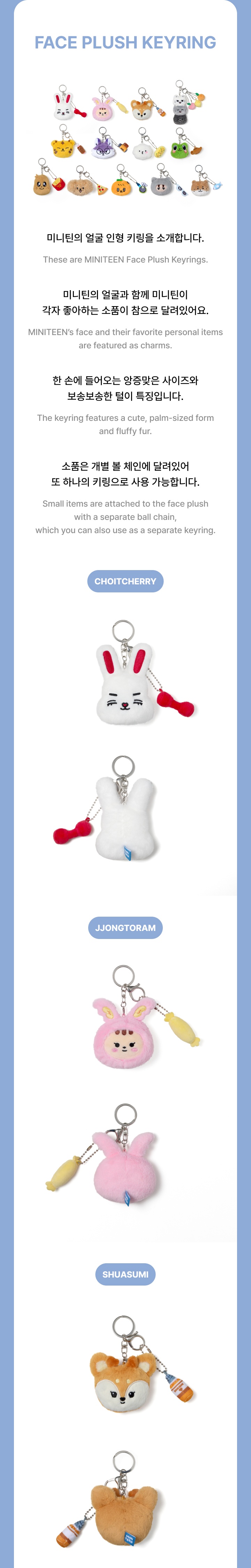 SEVENTEEN - 'MINITEEN' Face Plush Keyring (THEpalee)