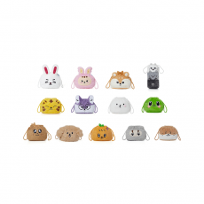 SEVENTEEN - 'MINITEEN' Pouch (TAMTAM)