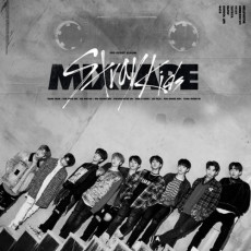 Stray Kids - Pre-Debut Album [Mixtape]