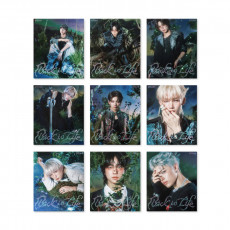 &TEAM -KR 1st Mini Album [Back to Life] (ROAR ver.) (Random Ver.)