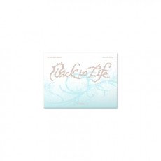 &TEAM - KR 1st Mini Album 'Back to Life' Photocard Box (Mini CD-R ver.)