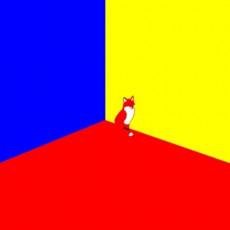 SHINEE - Vol.6 [THE STORY OF LIGHT EP.3]