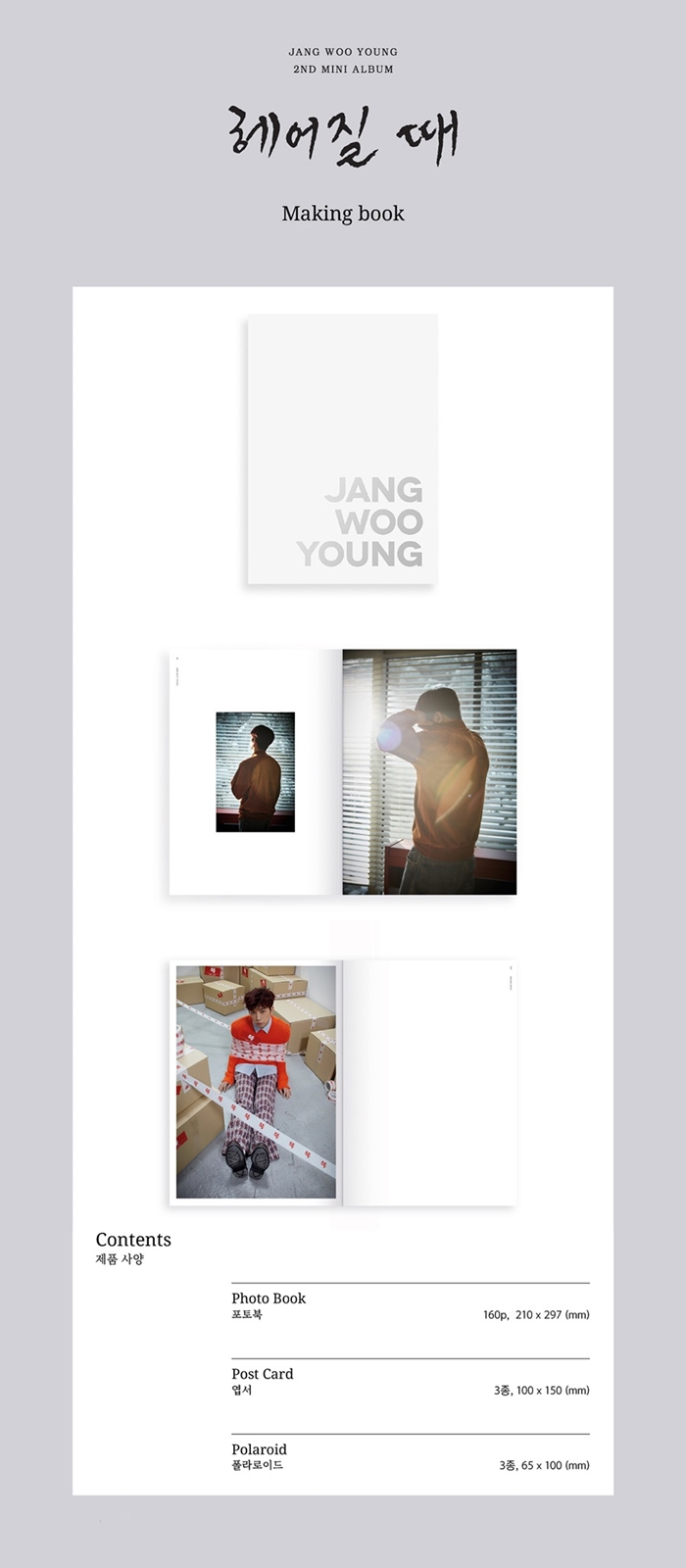 JANG WOO YOUNG - 2nd Mini [BREAK UP] MAKING BOOK