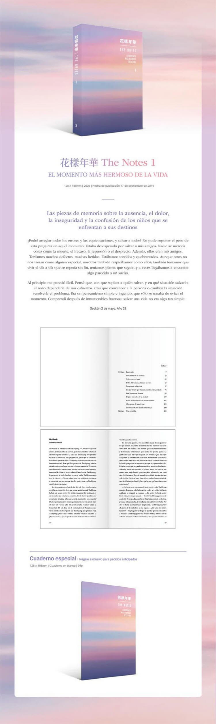 BTS - HYYH [THE NOTES 1] Español (Spanish Ver.)