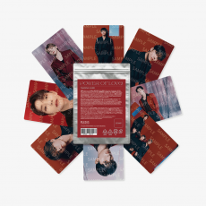 SEVENTEEN	- POWER OF LOVE TRADING CARD