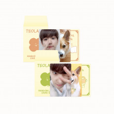 BAEKHYUN (EXO) - 09 RANDOM LUCKY CARD SET (B VER.) / 2023 TEO-LAE-GI ZIPDURI 1st MD
