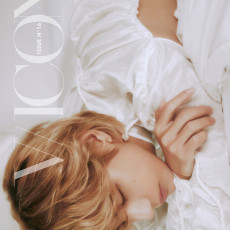 V (BTS) - DICON ISSUE N°16 V : VICON (D Ver.)