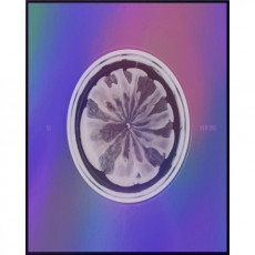XG - 1st Mini Album [NEW DNA] (X VER.)
