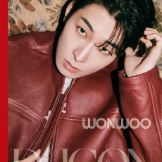 WONWOO (SEVENTEEN) - DICON ISSUE N°17 JEONGHAN, WONWOO : Just, Two of us! (WONWOO B-type) + Photocard B Type
